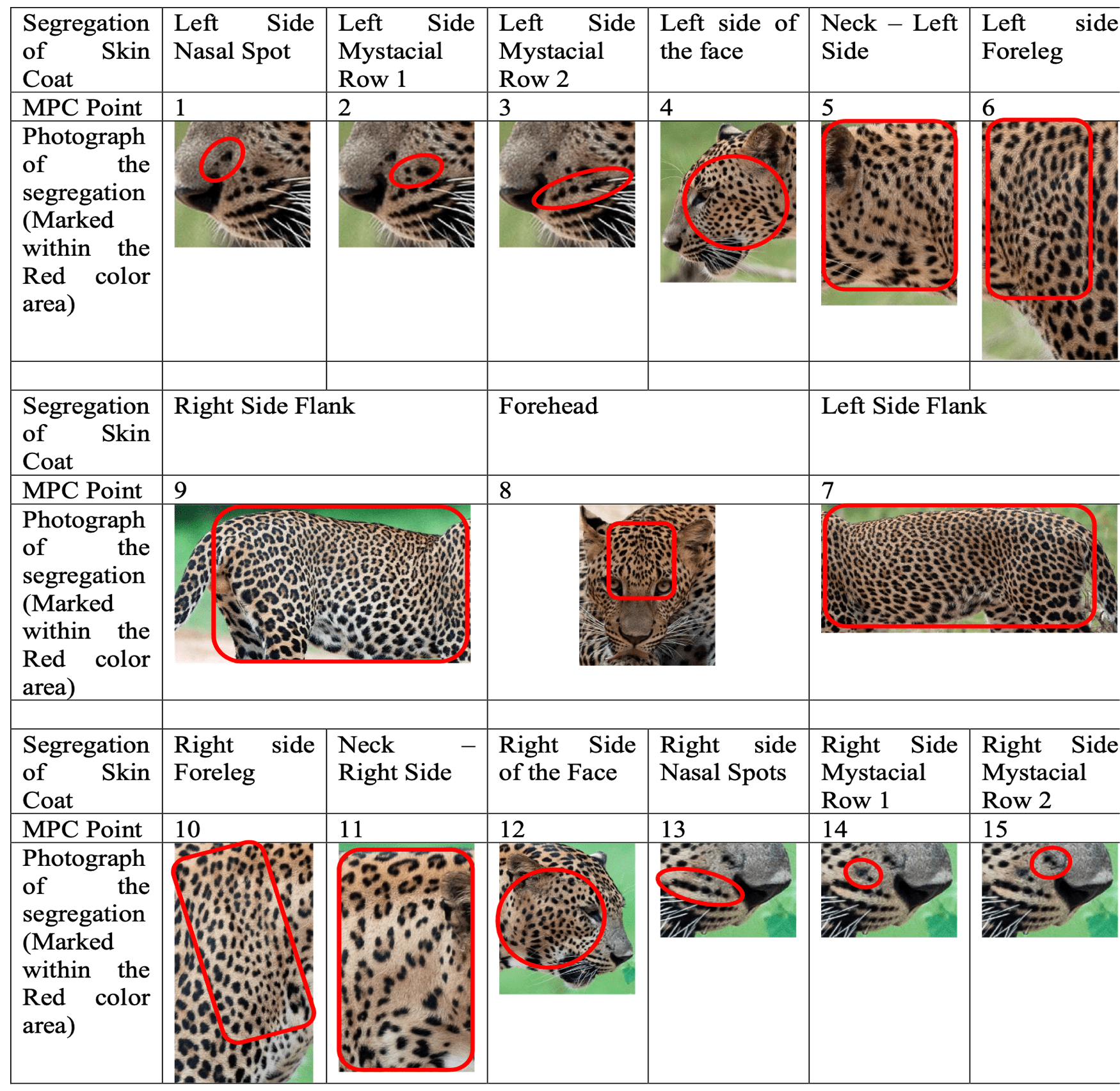 Yala Leopard Diary